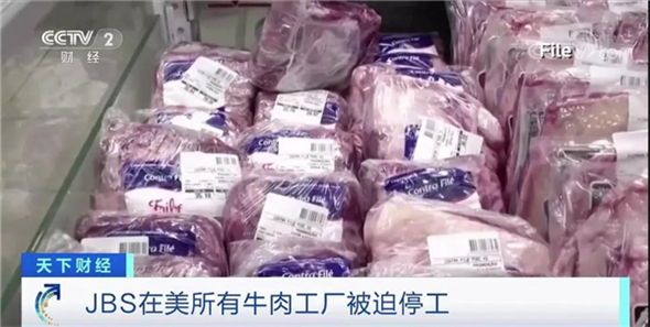 中國養豬網